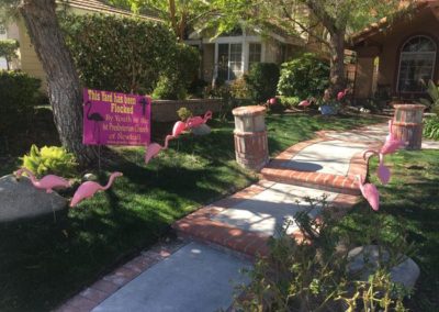 this yard has been flocked by our youth