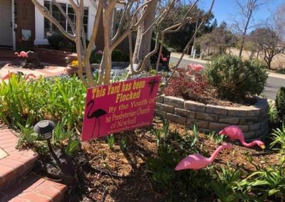 this yard has been flocked by our youth